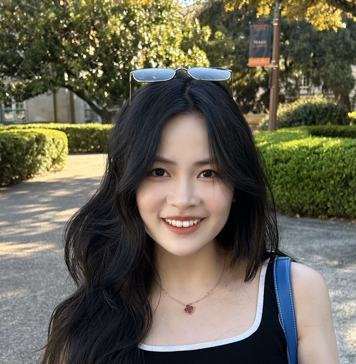 Shihui Peng
